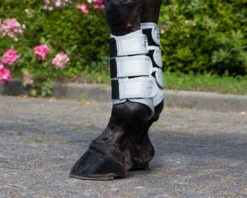 QHP Leg Protection Havana White 5 QHP Leg Protection Havana White -EquiGlow Shop 0021319 qhp leg protection havana white