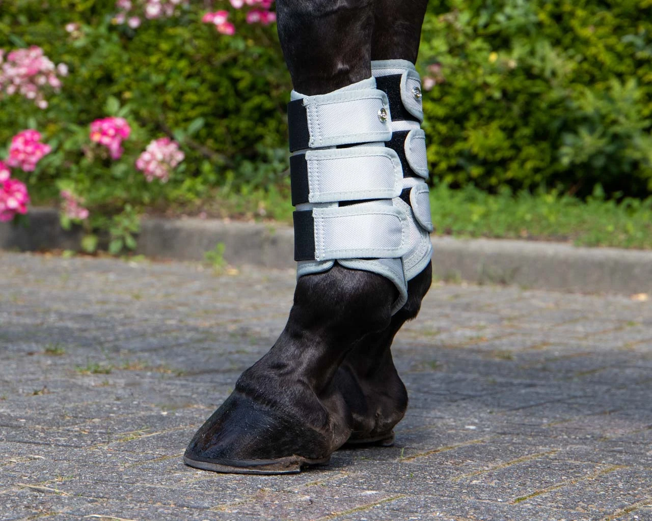 QHP Leg Protection Havana White 3 QHP Leg Protection Havana White - Image 3