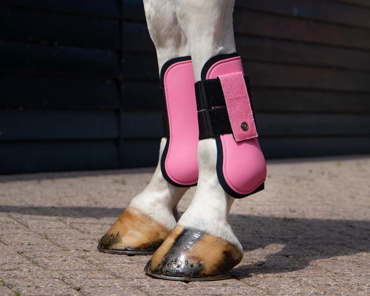 QHP Tendon Boots Rio Powder Pink 2 QHP Tendon Boots Rio Powder Pink - Image 2