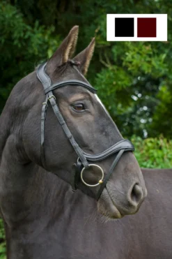 Cameo Equine Ecosoft Enigma Bridle
