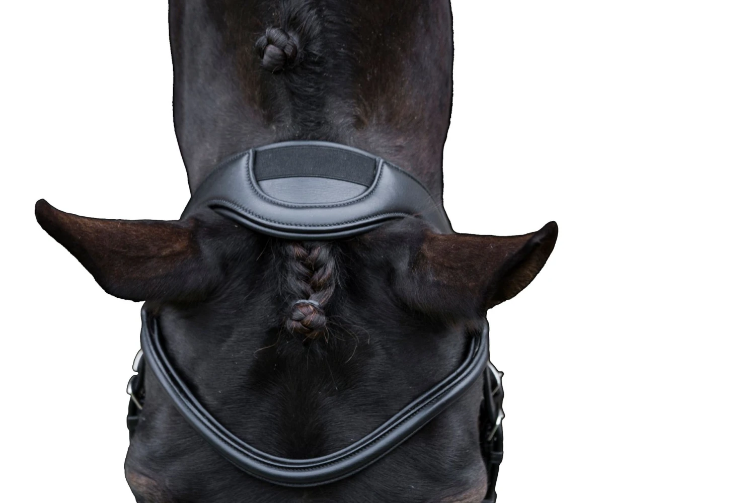 Cameo Equine Ecosoft Enigma Bridle 2 Cameo Equine Ecosoft Enigma Bridle - Image 2