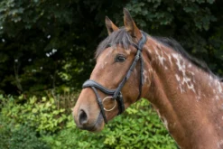 Cameo Equine Ecosoft Enigma Bridle -EquiGlow Shop 0023550 cameo equine ecosoft enigma bridle