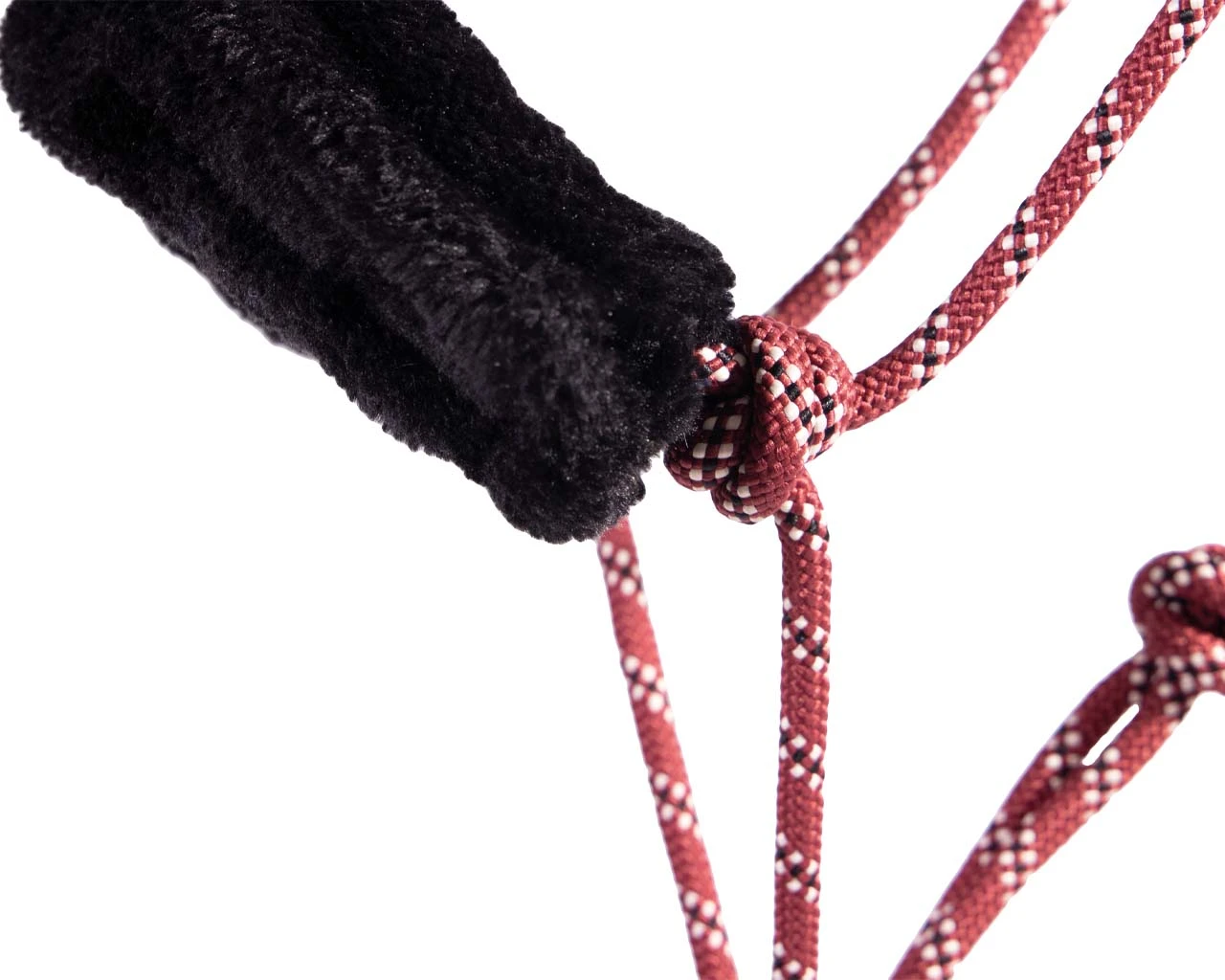 QHP Rope Halter Set Collection Terra 2 QHP Rope Halter Set Collection Terra - Image 2