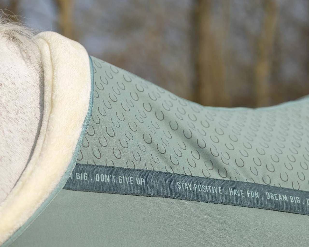 QHP Show Rug Equestrian Dream Dusty Olive 2 QHP Show Rug Equestrian Dream Dusty Olive - Image 2