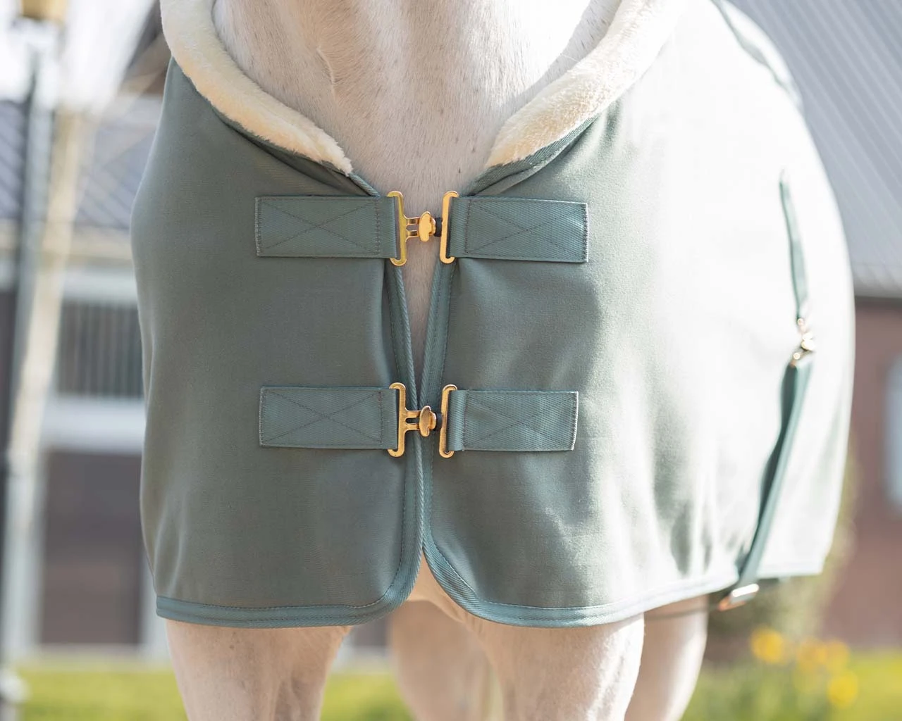 QHP Show Rug Equestrian Dream Dusty Olive 3 QHP Show Rug Equestrian Dream Dusty Olive - Image 3