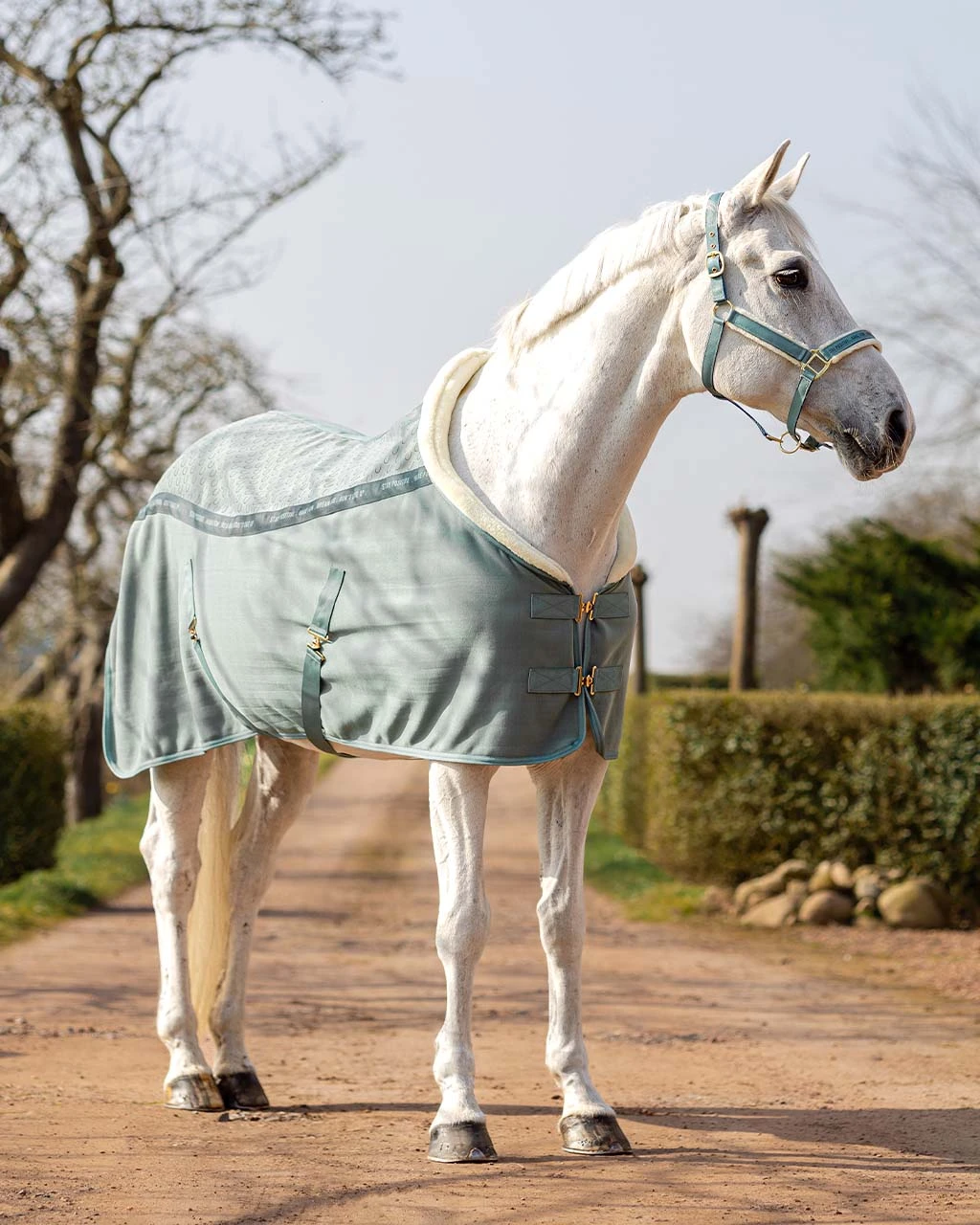 QHP Show Rug Equestrian Dream Dusty Olive 4 QHP Show Rug Equestrian Dream Dusty Olive - Image 4