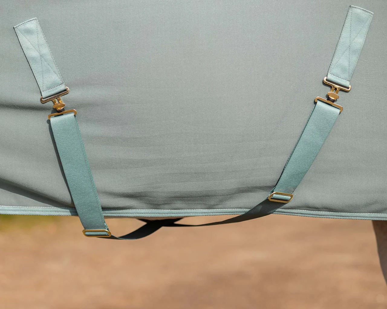 QHP Show Rug Equestrian Dream Dusty Olive 5 QHP Show Rug Equestrian Dream Dusty Olive - Image 5