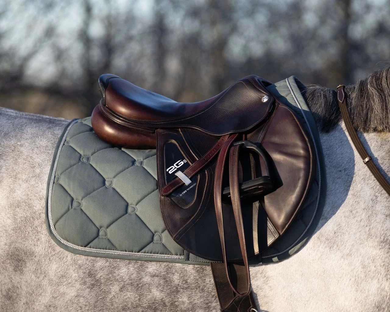 QHP Saddlepad Phoenix AP Olive Full 2 QHP Saddlepad Phoenix AP Olive Full - Image 2