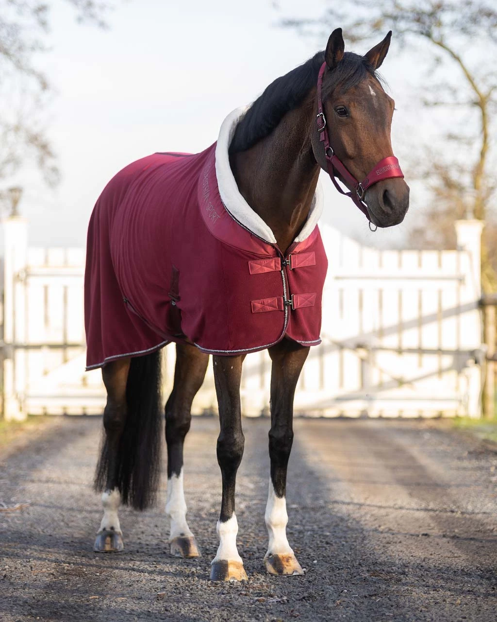 QHP Fleece Rug Gloss Burgundy 2 QHP Fleece Rug Gloss Burgundy - Image 2