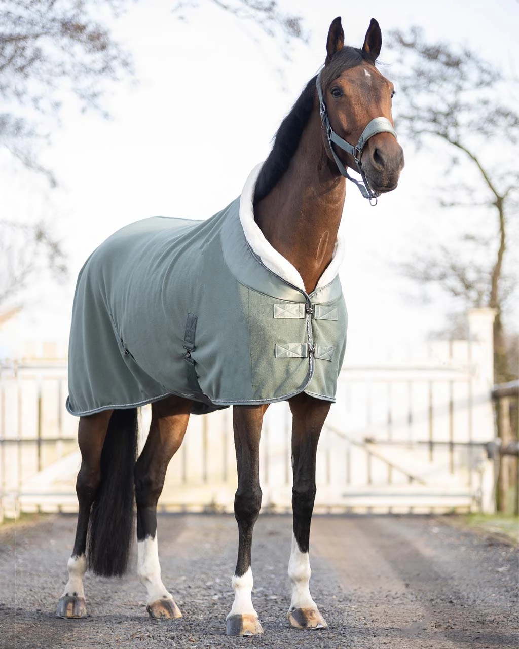 QHP Fleece Rug Gloss Olive 2 QHP Fleece Rug Gloss Olive - Image 2