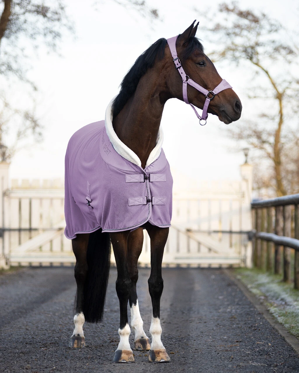 QHP Fleece Rug Gloss Sweet Grape 2 QHP Fleece Rug Gloss Sweet Grape - Image 2