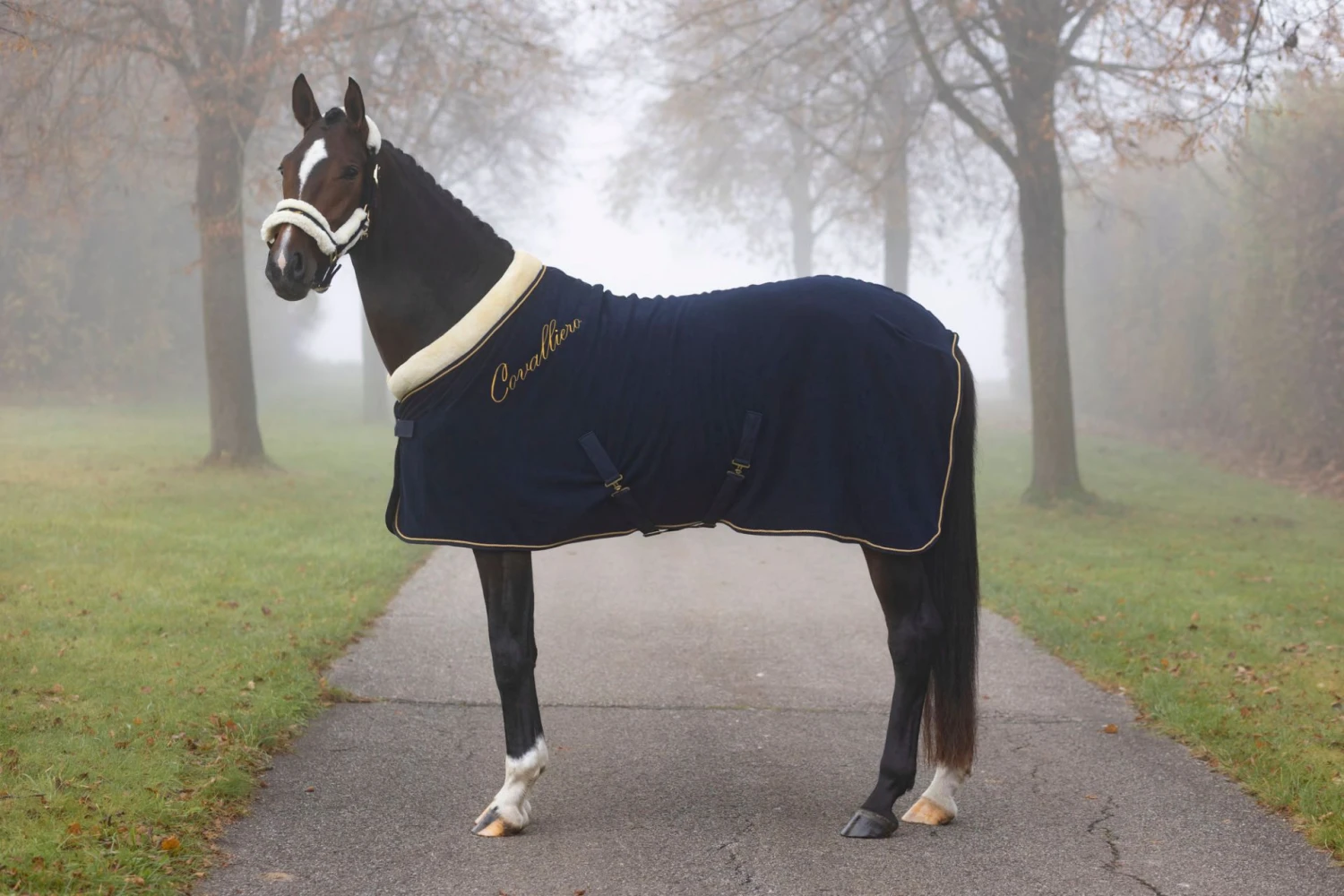 Covalliero Fleece Rug Dark Navy 2 Covalliero Fleece Rug Dark Navy - Image 2