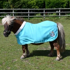 Rhinegold Unicorn Embroidered Fleece Rug Aqua