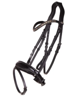 QHP Orlando Bridle Black / Green