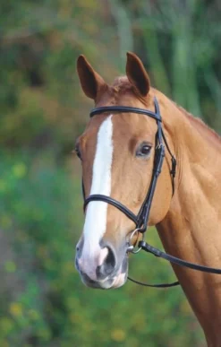Shires Velociti GARA Raised Cavesson Bridle Black