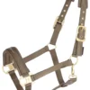 Covalliero Headcollar Clay