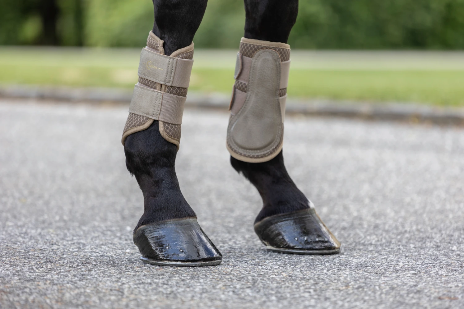 Covalliero Brushing Boots Clay 2 Covalliero Brushing Boots Clay - Image 2