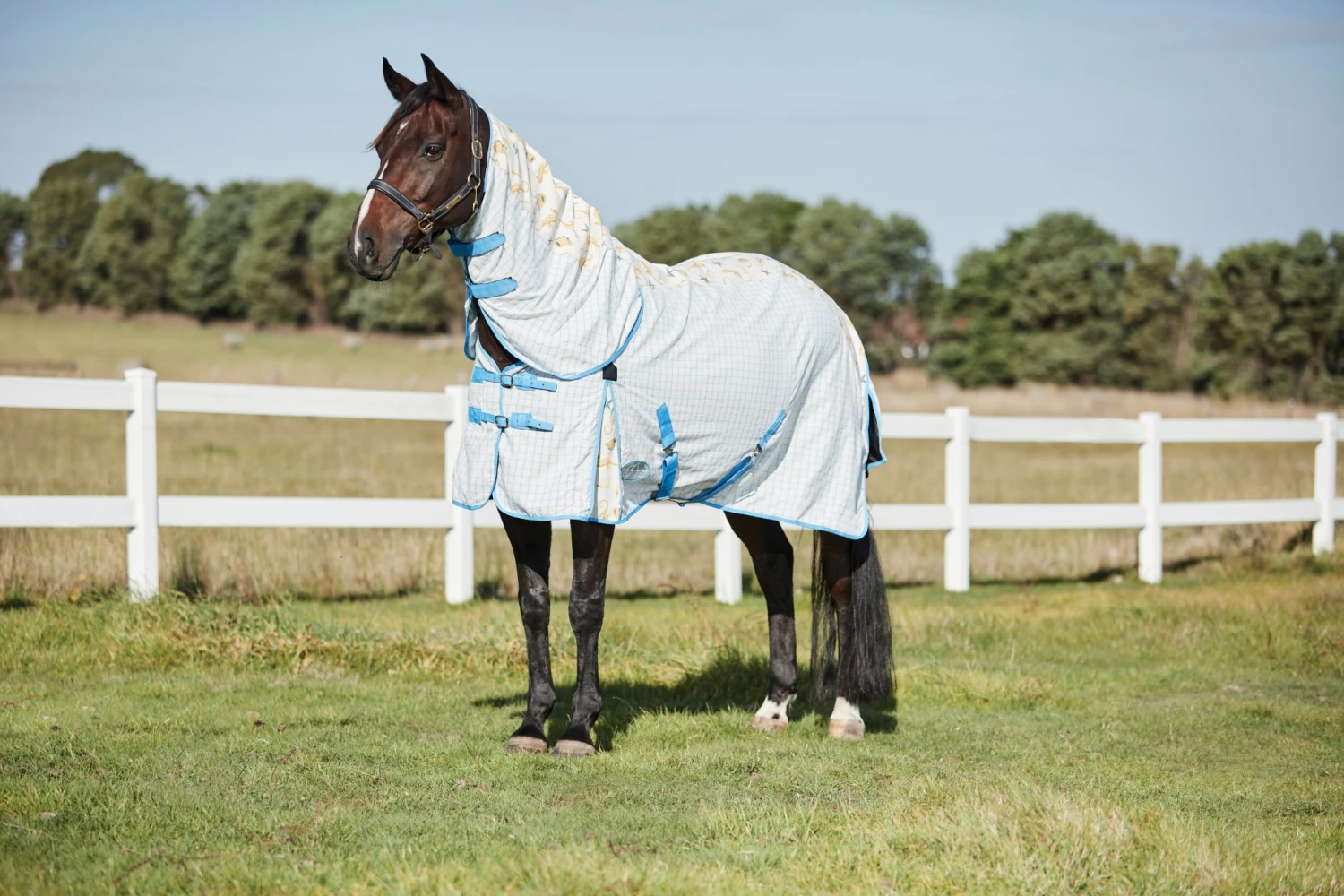 Weatherbeeta Summer Sheet Lite IV Combo Neck Seahorse 1 Weatherbeeta Summer Sheet Lite IV Combo Neck Seahorse