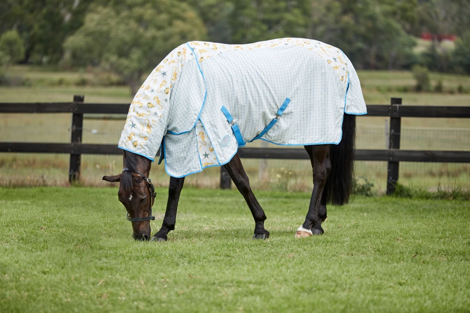 Weatherbeeta Summer Sheet Lite IV Combo Neck Seahorse 2 Weatherbeeta Summer Sheet Lite IV Combo Neck Seahorse - Image 2