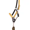 QHP Headcollar Set With Turnout Collection Sunflower