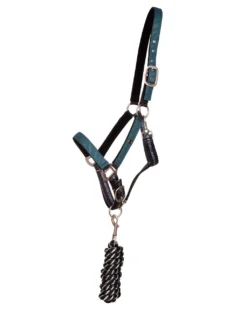 QHP Headcollar Set With Turnout Collection Wave