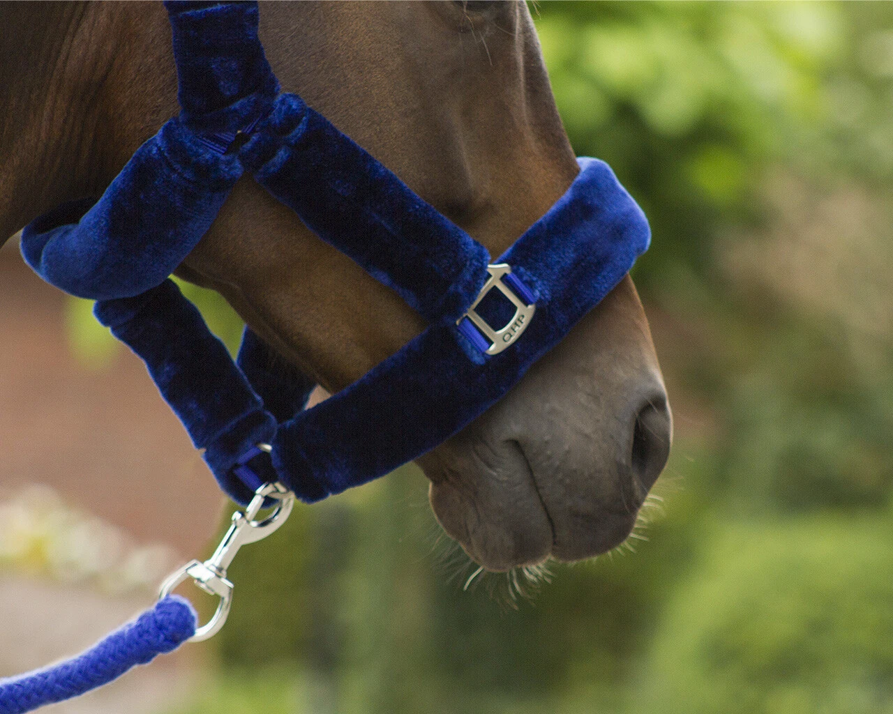 QHP Headcollar Alaska Navy/Blue 2 QHP Headcollar Alaska Navy/Blue - Image 2