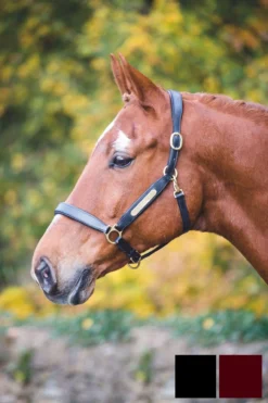 Shires Velociti GARA Leather Nameplate Headcollar