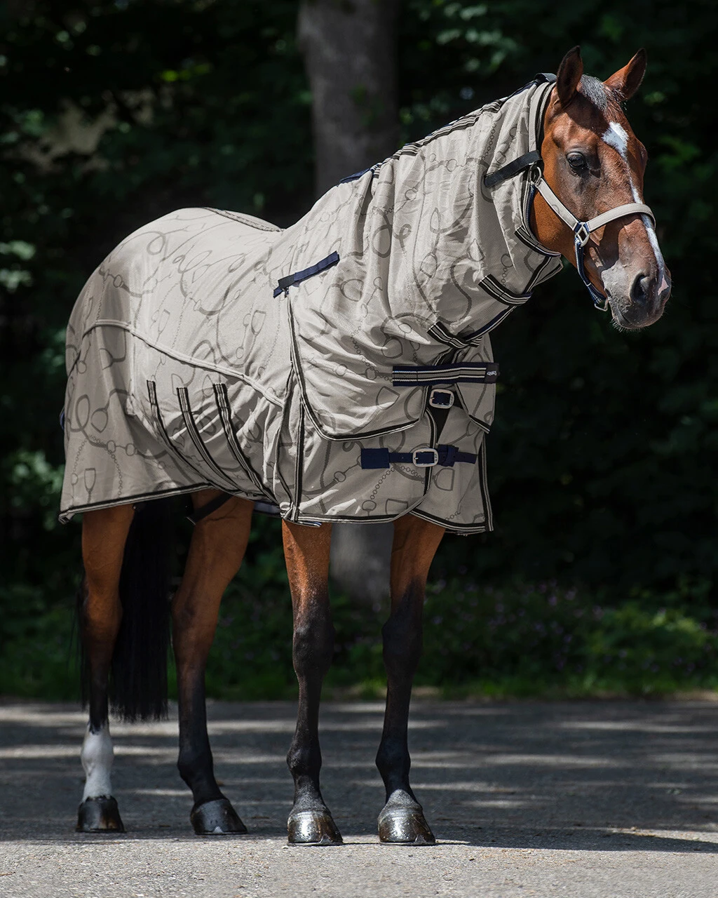 QHP Anti-Fly Sheet Collection With Neck And Hood Almond 3 QHP Anti-Fly Sheet Collection With Neck And Hood Almond - Image 3