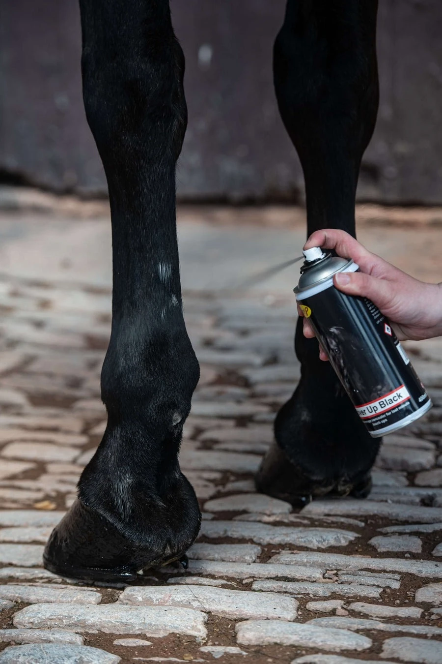 Smart Grooming Cover Up Spray Black 400ml 2 Smart Grooming Cover Up Spray Black 400ml - Image 2