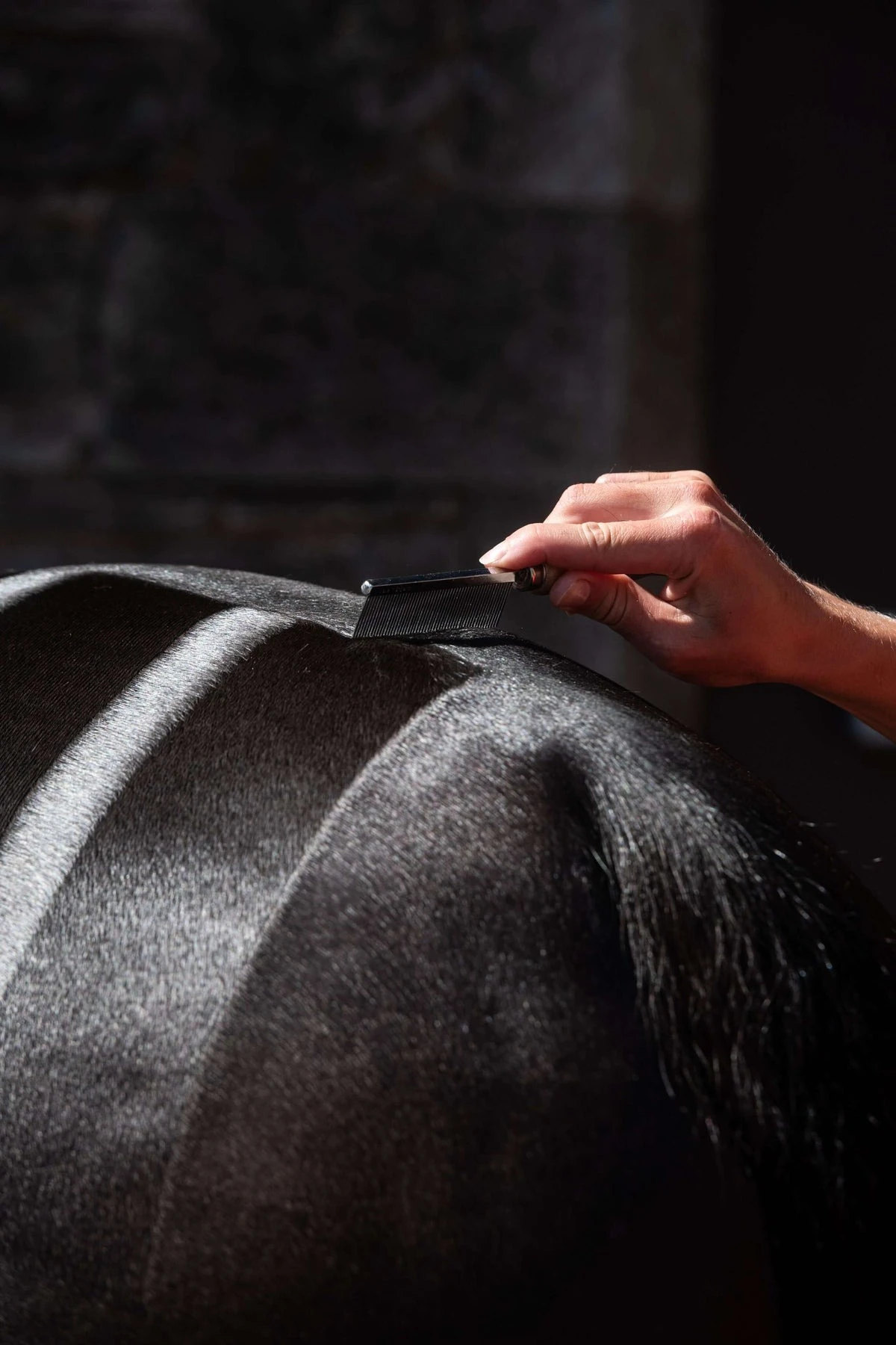 Smart Grooming Hunter Marker Comb 8.2cm 2 Smart Grooming Hunter Marker Comb 8.2cm - Image 2