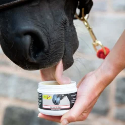 Smart Grooming Lip And Bit Balm 120g 5 Smart Grooming Lip And Bit Balm 120g -EquiGlow Shop 0029251 smart grooming lip and bit balm 120g