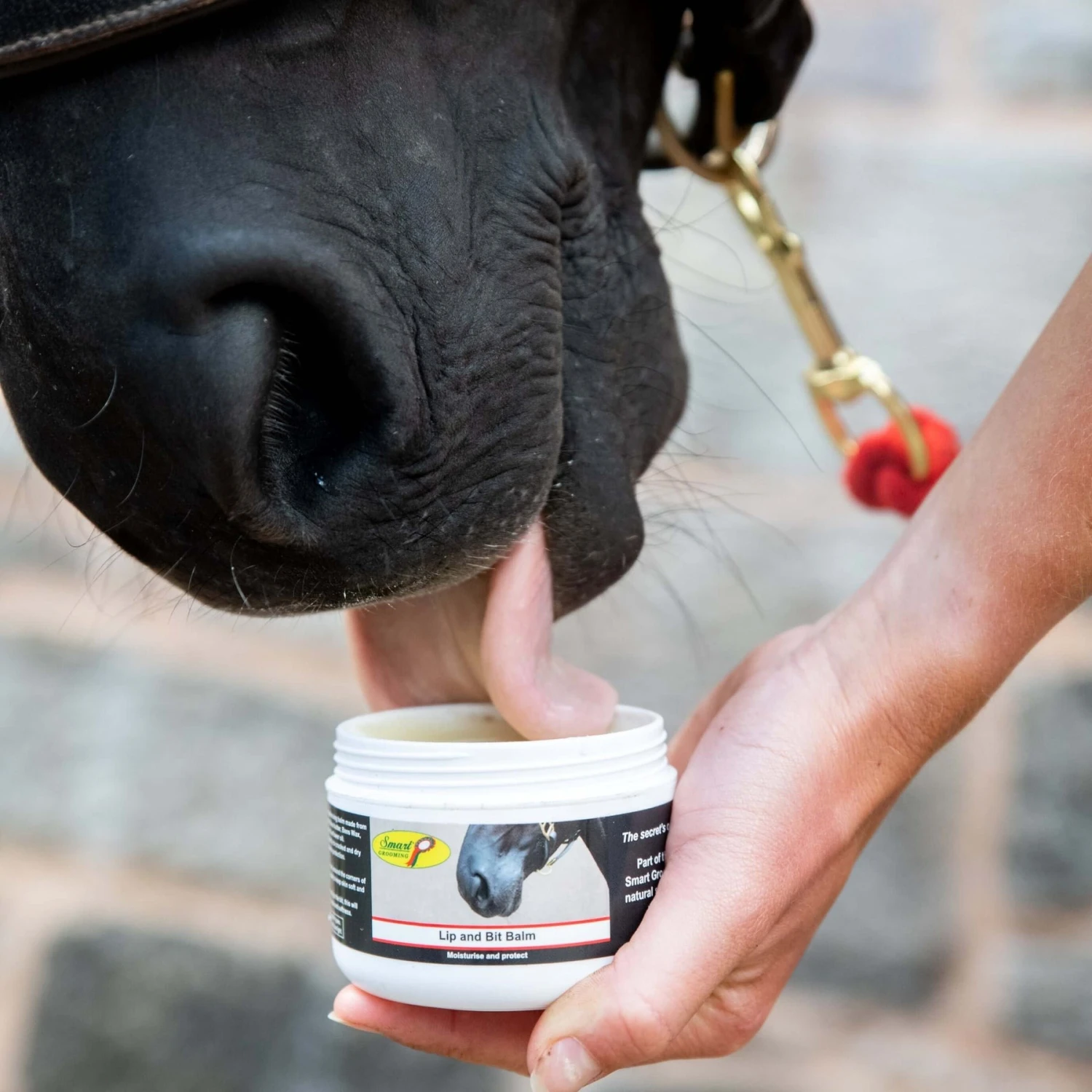 Smart Grooming Lip And Bit Balm 120g 3 Smart Grooming Lip And Bit Balm 120g - Image 3