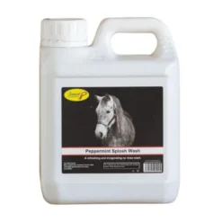 Smart Grooming Mint Splosh Wash 1L