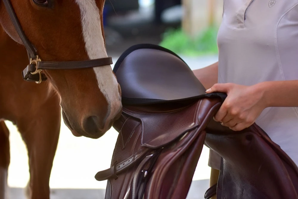 Thinline Seat Saver 2 Thinline Seat Saver - Image 2