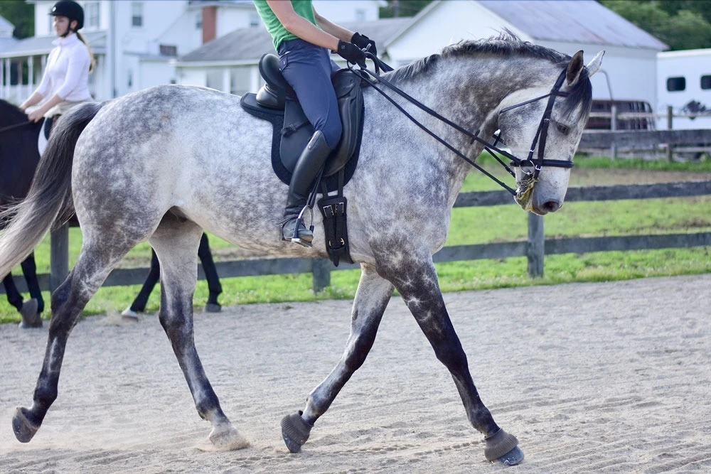 Thinline Seat Saver 3 Thinline Seat Saver - Image 3