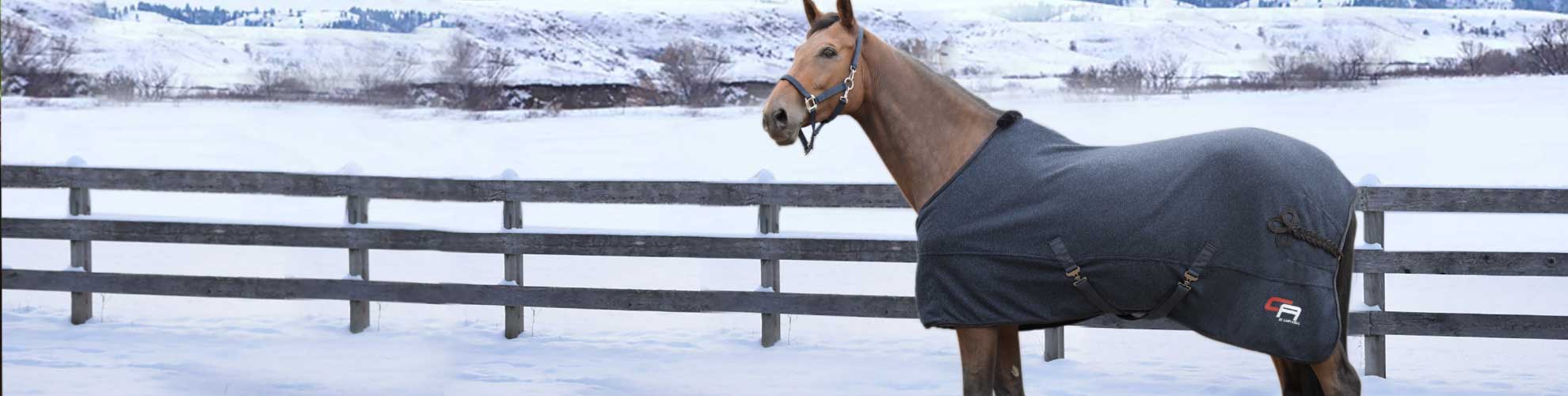 Front Page -EquiGlow Shop banner654