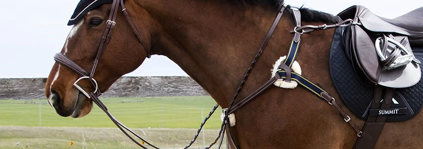 Front Page -EquiGlow Shop banner669